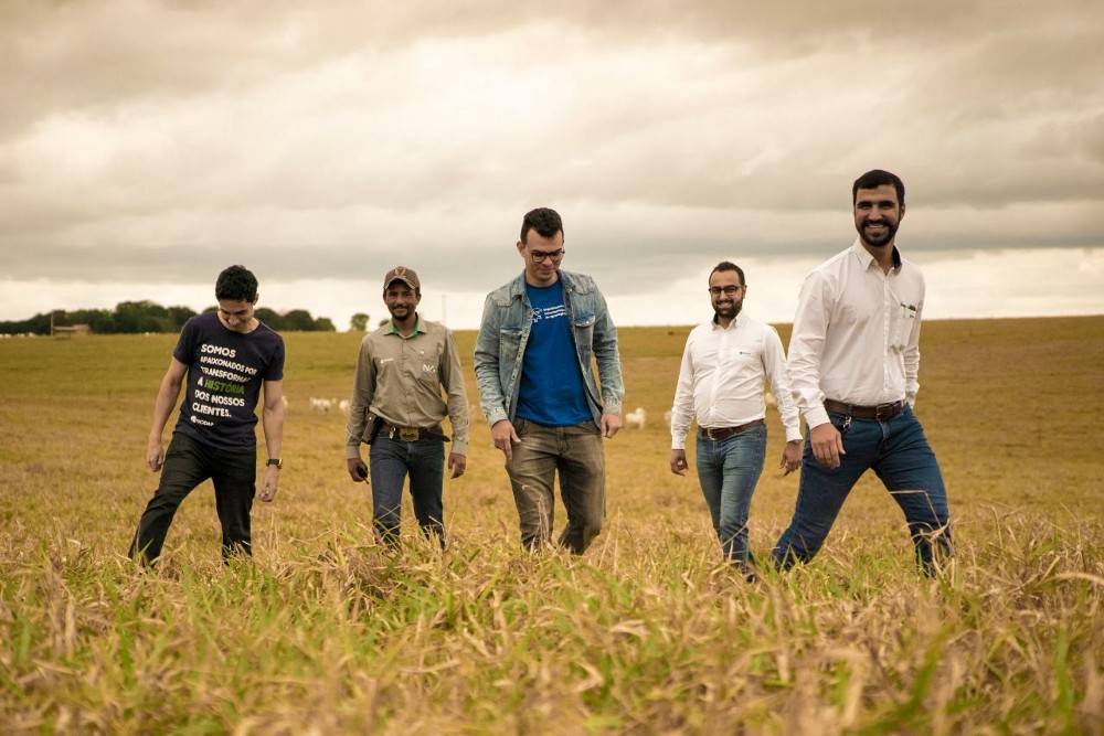Leia mais sobre o artigo Transformação digital na agropecuária: um case de sucesso
