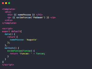 Vue js 